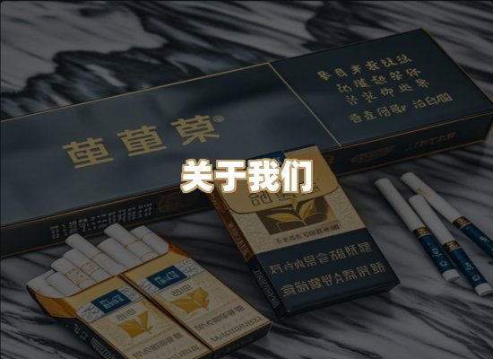 关于御龙烟网